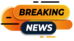 News Icon